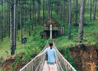 Du lịch Hè Đà Lạt TOP 3 địa điểm check-in “ảo” du lich da lat