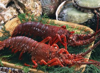 Những món ăn đặc sản Côn Đảo ngon không tưởng dành cho du khách
